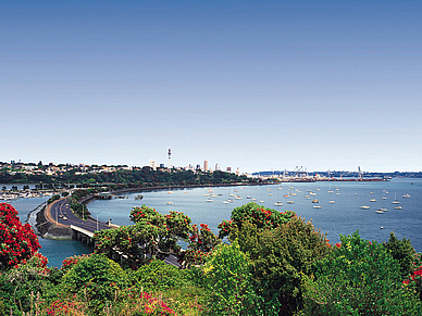 Blick auf Auckland und Hafen, Englisch Sprachreisen für Erwachsene