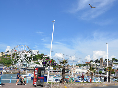 Pittoresker Hafen von Torquay, Englisch Sprachreisen für Erwachsene