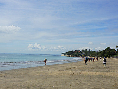 Takapuna Beach - Englisch Sprachreisen nach Auckland 