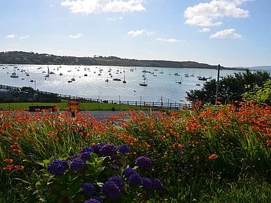 Blick über den Hafen und die Flora von Schull, Englisch Sprachreisen für Schüler