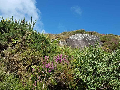 Ausspannen in Schull, Englisch Sprachreisen für Führungskräfte