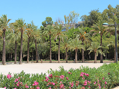 Park in Valencia, Spanisch Sprachreisen für Erwachsene