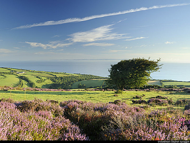 Landschaft bei Exeter, Englisch-Sprachreisen für Erwachsene