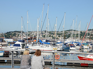 Hafen von Torquay, Englisch Sprachreisen für Erwachsene