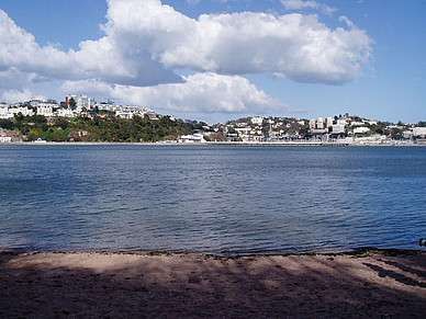 Blick auf Torquay, Business Englisch Sprachreisen England