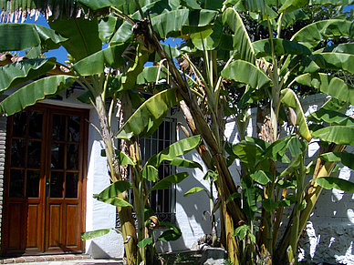 Schulgebäude, Spanisch Sprachschule Nerja