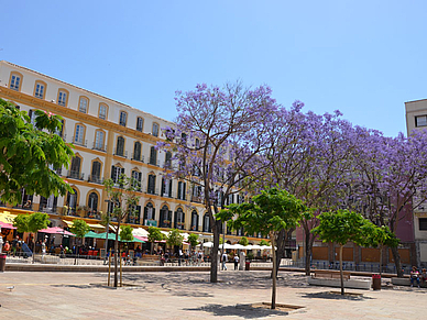 Treffpunkt Plaza de la Merced - mit DIALOG-Sprachreisen nach Málaga