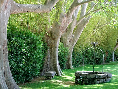 Garten der Sprachschule in Aix-en-Provence, Business Sprachentrainings Französisch