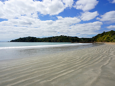 Ausflugsziel Waiheke Island - Englisch Sprachreisen Neuseeland