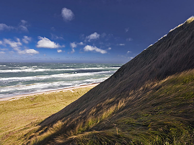 Strand, Dänisch Sprachreisen für Erwachsene