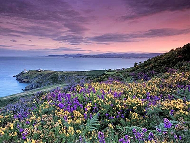 Aussichtspunkt Howth Head bei Dún Laoghaire, Englisch Sprachreisen für Erwachsene