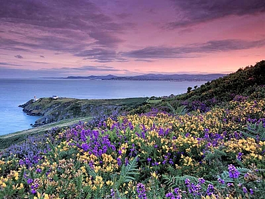 Aussichtspunkt Howth Head bei Dún Laoghaire, Englisch Sprachreisen für Erwachsene