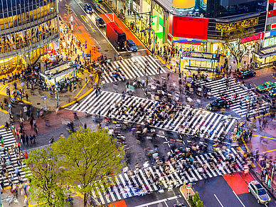 Shibuya Crossing Tokio, Japanisch Sprachreisen für Erwachsene