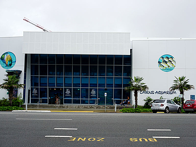 Cairns Aquarium - Englisch Sprachreisen für Erwachsene nach Australien