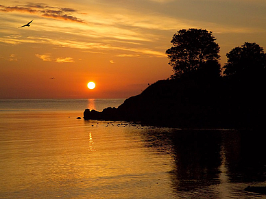 Sonnenuntergang in Torquay, Business Englisch Sprachreisen England