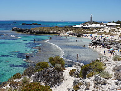 Ausflugsziel Rottnest Island - Sprachreise Perth, Australien