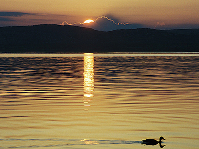 Plattensee, Ungarisch Sprachreisen für Erwachsene